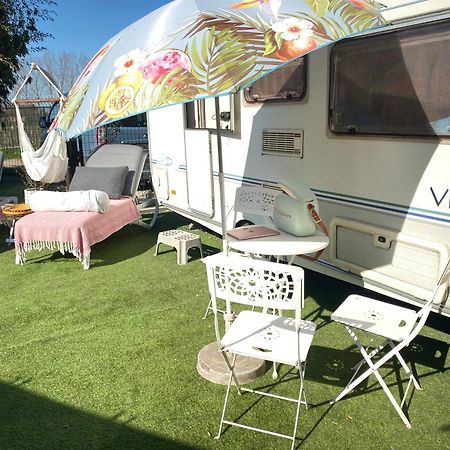 Gardencaravan Near Ghent In Green Area Exterior photo