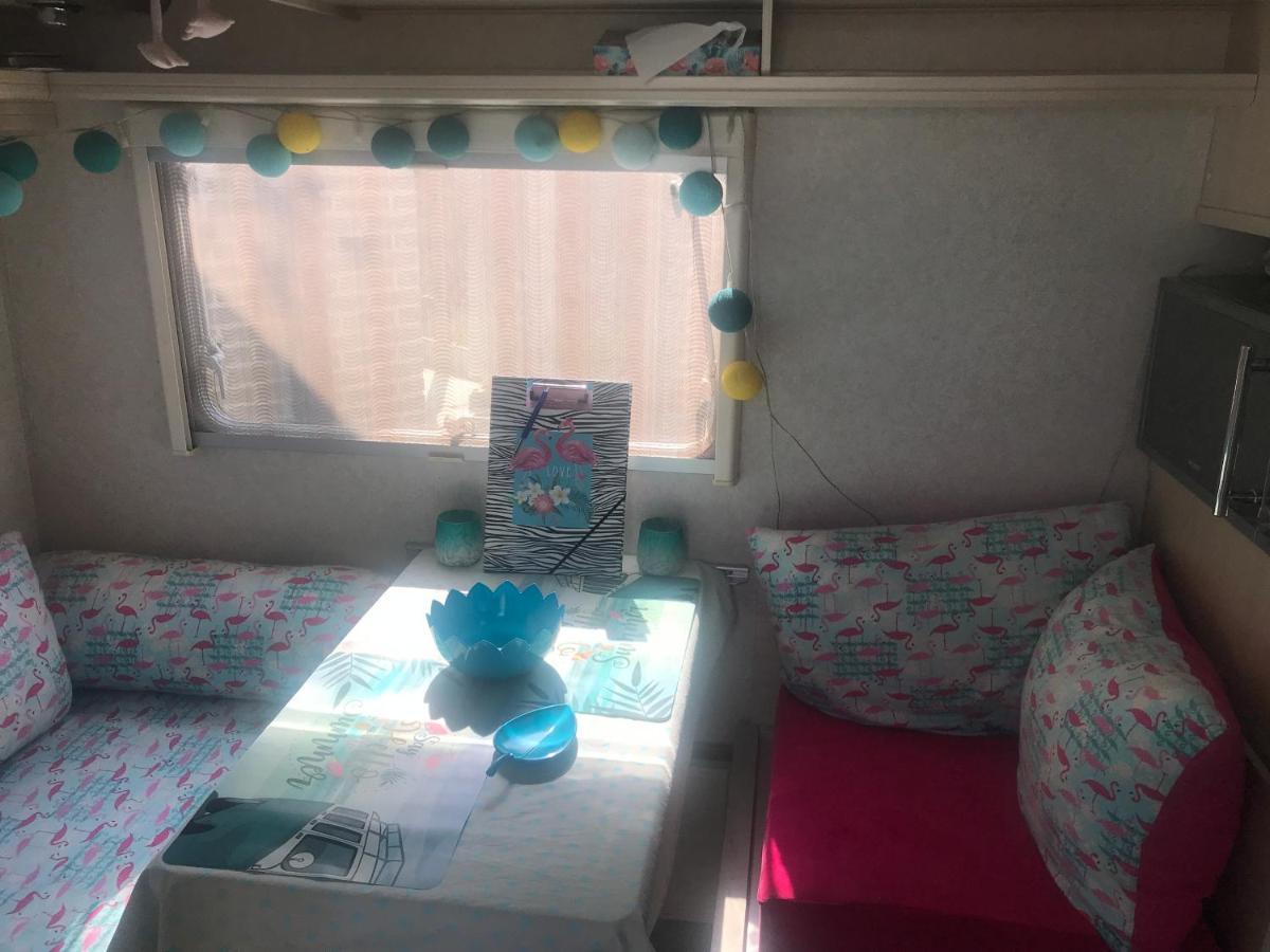 Gardencaravan Near Ghent In Green Area Exterior photo